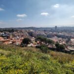 IMG_20260313_115947021_HDR