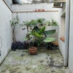 IMG_20260525_181153719_HDR